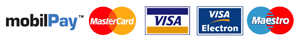 MasterCard Visa Visa Electron Maestro